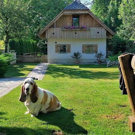 Vila Jana Radovljica Esterno foto