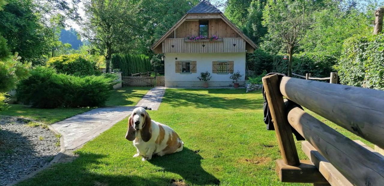 Vila Jana Radovljica Esterno foto