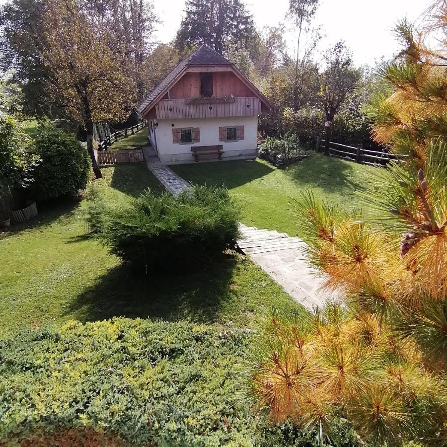 Vila Jana Radovljica Esterno foto